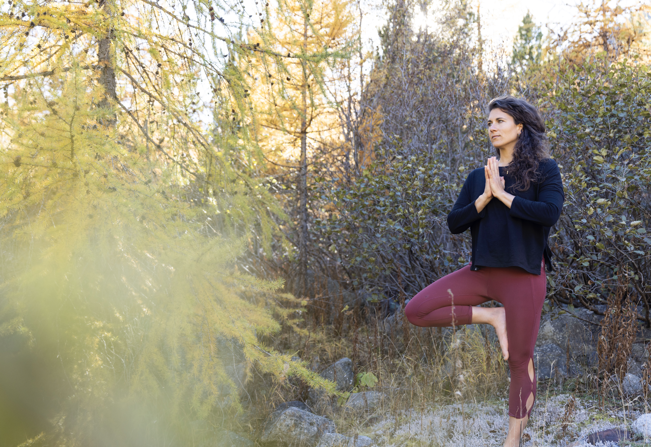 Bildschirmfoto 2025-12-21 um 15.03.56